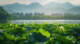 配资网站系统 苏州慕天取得基于高频数字阀的汽车碰撞试验台制动系统专利，保证碰撞测试的准确性